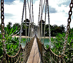 suspension-bridge suspension-bridge